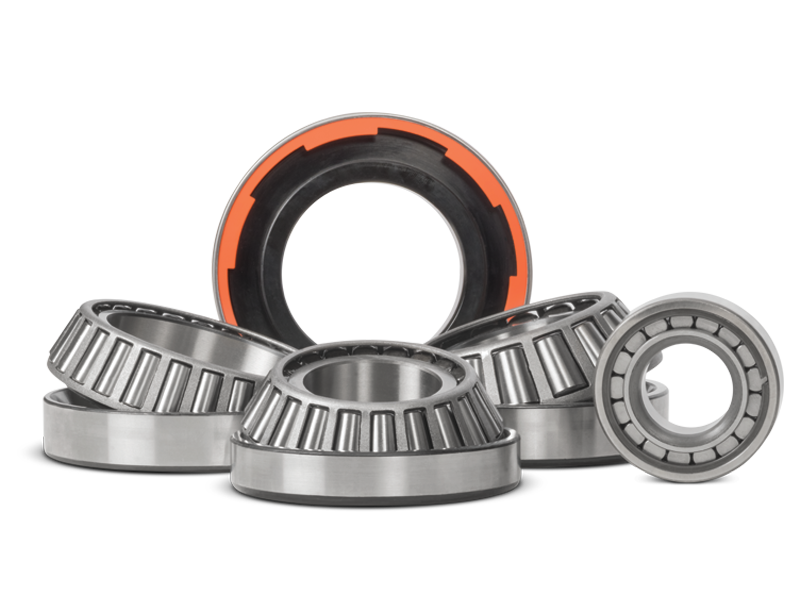 Spicer Select Differential Carrier Bearings